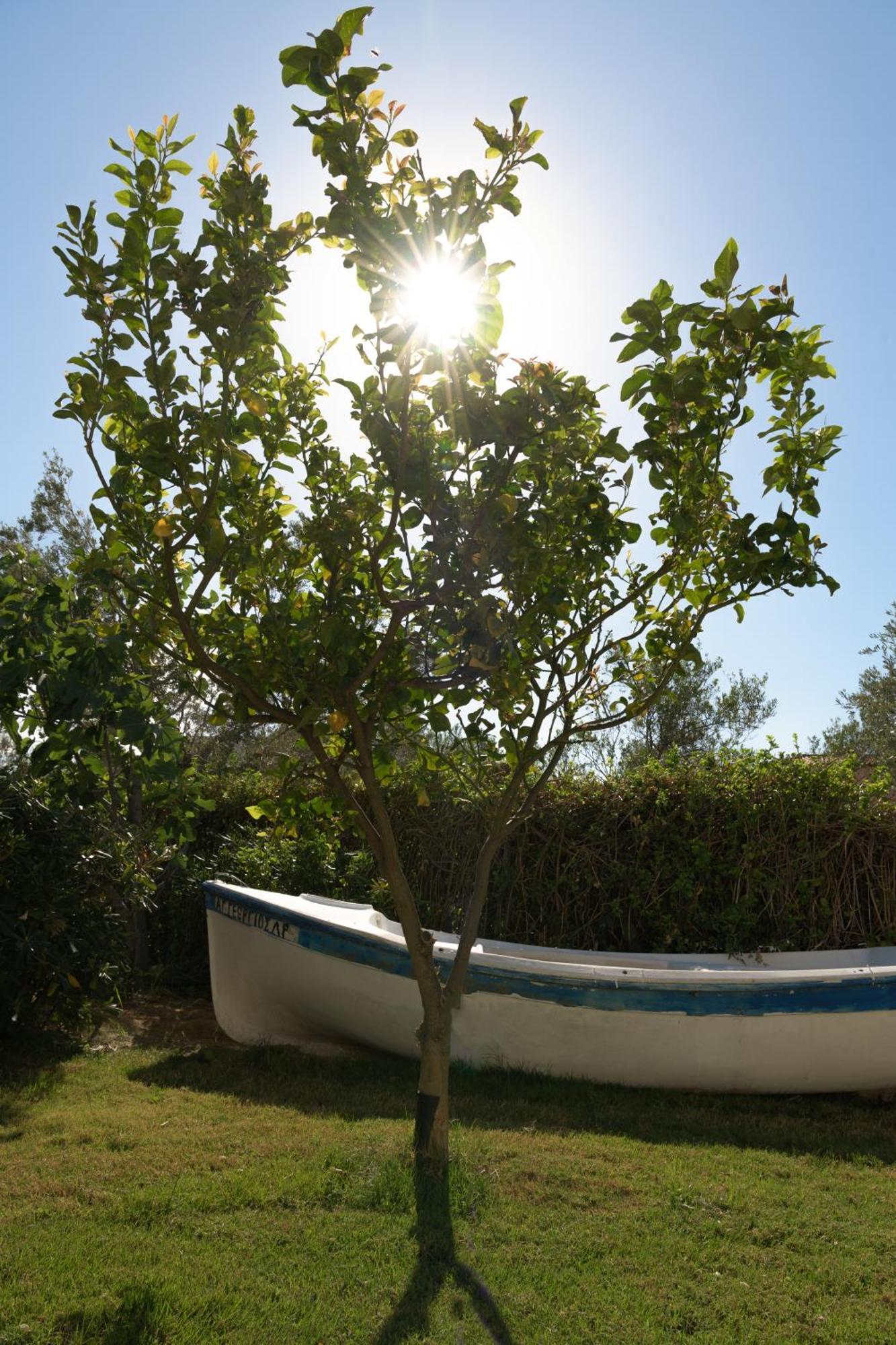 Perivoli Seaview Cottage, A Rural Bliss Of Nature, By Thinkvilla Villa