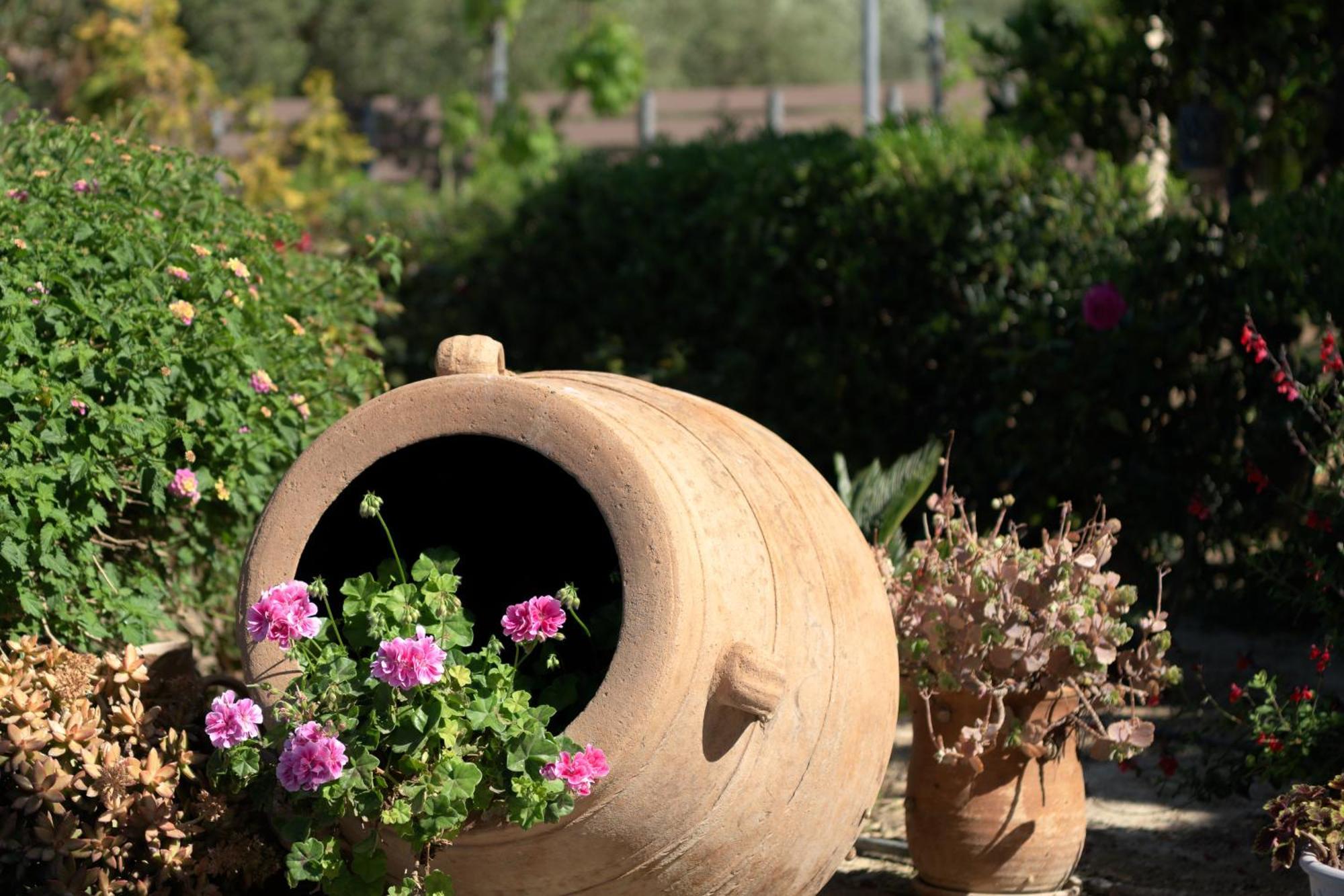 Villa Perivoli Seaview Cottage, A Rural Bliss Of Nature, By Thinkvilla